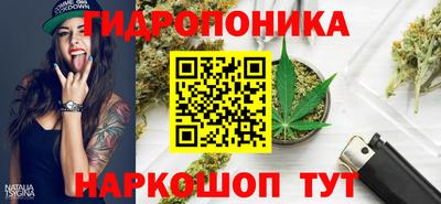 мдпв Рязань