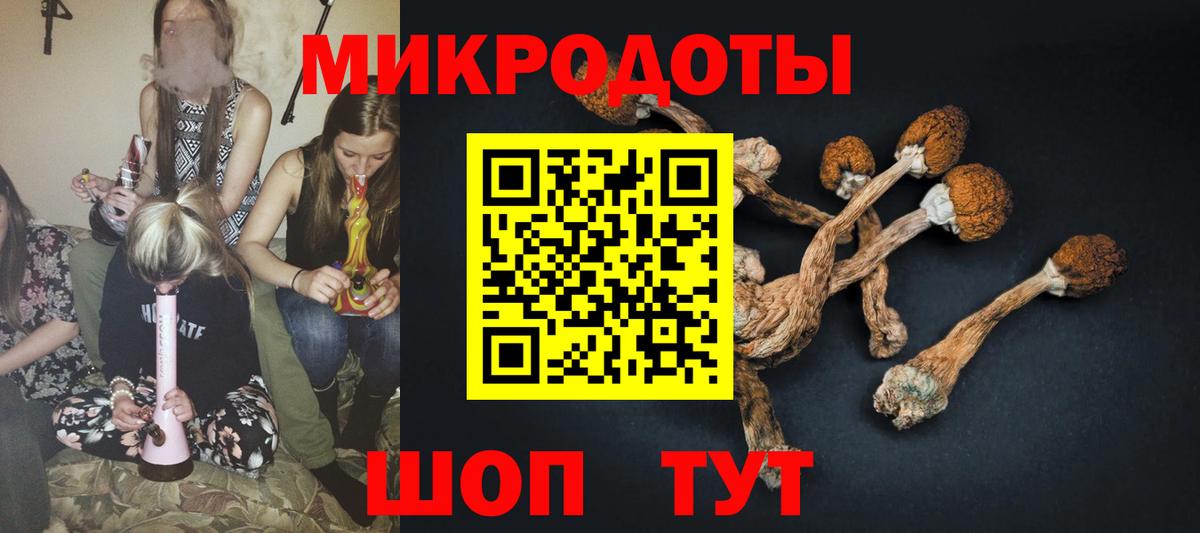 Псилоцибиновые грибы GOLDEN TEACHER Полысаево
