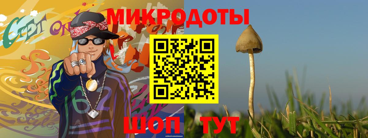 купить наркоту  Псилоцибиновые грибы MAGIC MUSHROOMS  Вход с VPN  Полысаево 